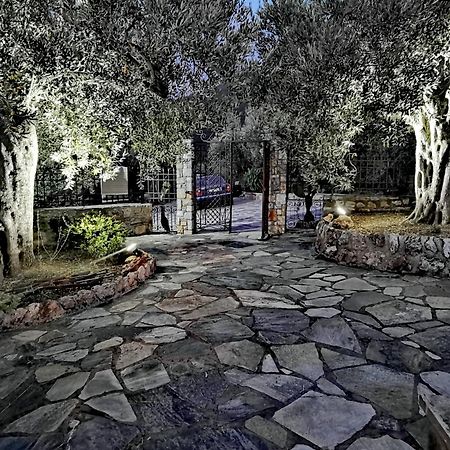 Elaion Thea-Nies Villa Sourpi ภายนอก รูปภาพ