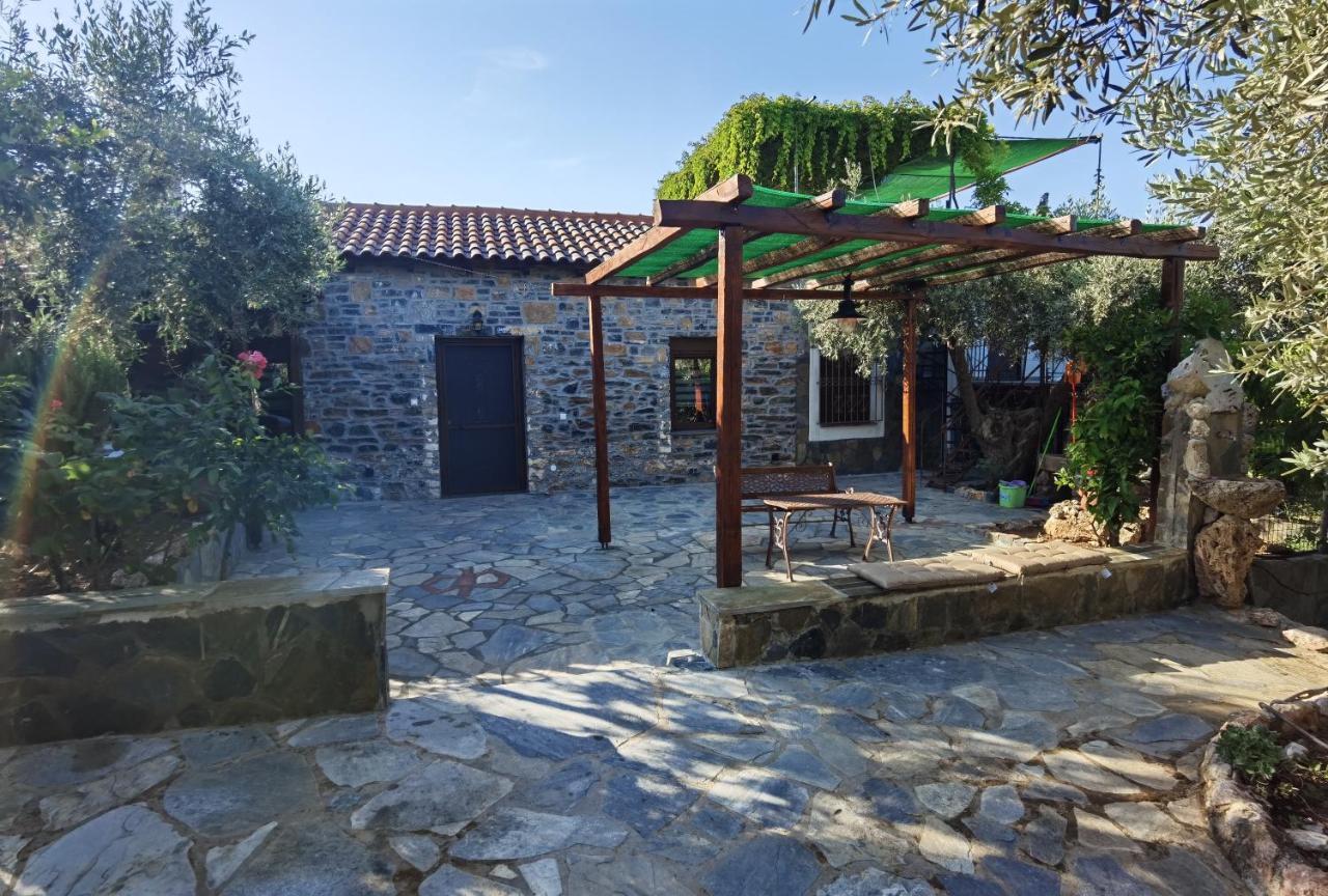 Elaion Thea-Nies Villa Sourpi ภายนอก รูปภาพ