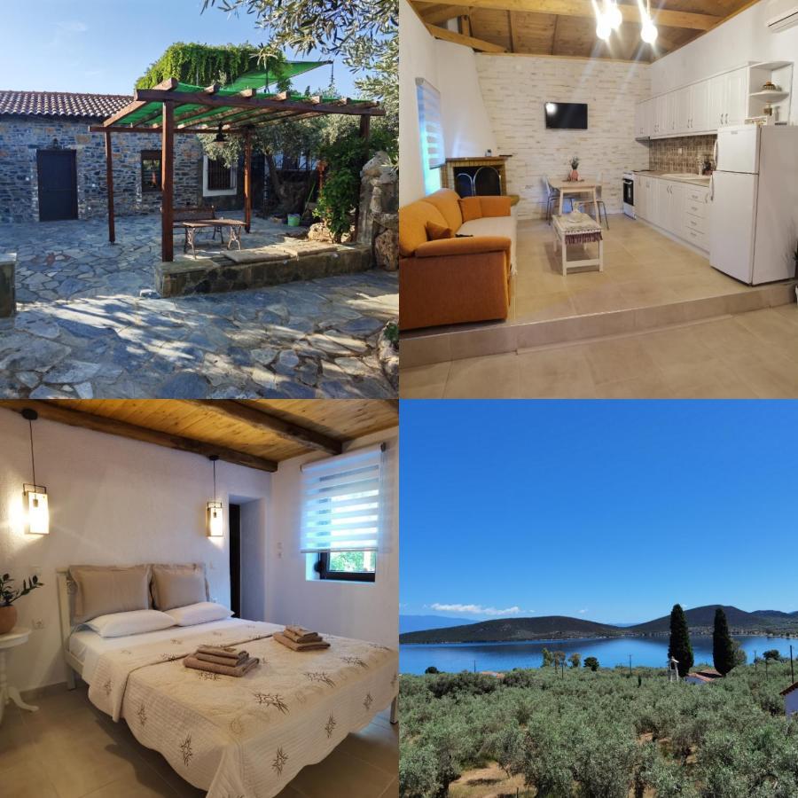 Elaion Thea-Nies Villa Sourpi ภายนอก รูปภาพ
