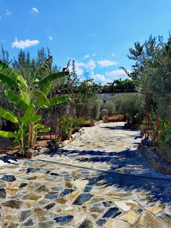Elaion Thea-Nies Villa Sourpi ภายนอก รูปภาพ
